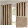 Paoletti Lustre Velvet Coppia Di Tende A Occhiello - Tende Filtraggio Della Luce Lussuose Con Finitura Iridescente Morbida (Champagne - Larghezza 229 x Lunghezza 183cm)