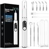 Wrischan Kit Pulizia Denti Tartaro per Animali Domestici - Spazzolino Elettrico per Cani e Gatti con 5 Modalità, 4 Testine Intercambiabili in Metallo, Rimozione Placca e Tartaro, Luci LED, Sicurezza Gengive