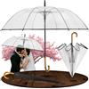 LOGAN & BARNES Ombrello Trasparente a Cupola, Ø 120 cm, per 2 Persone - Grande Ombrello trasparente pioggia da Cerimonia, Matrimonio ed Eventi, Resistente al Vento - Modello CARDIFF