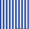 HARMONT & BLAINE SPA CRN074 013125 CAMICIA HARMONT & BLAINE, RIGHE BLU SPORT