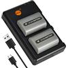 DSTE 2PCS NP-FP50 (1100mAh/7.4V) Batteria & Caricatore Compatibile per Sony NP-FP30,NP-FP60,NP-FP70,NP-FP71,DCR-DVD203E,DCR-DVD205,DCR-DVD304E,DCR-DVD305,DCR-DVD403