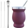 Beruth Mate Becher Set di Tazze da Tè in Acciaio Inossidabile con Coperchio Multifunzionale, Due Cannucce e Spazzole per la Pulizia, Isolamento Termico, Protezione Contro le Scottature, Rosso Vino