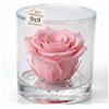 Premium-rose.com Box tondo con rosa rosa stabilizzata Profumata, Box con Rosa rosa stabilizzata Eterna | Idea Regalo Natale, Mamma, Nonna, Amica, Bomboniera per lei | Fatto in Italia (Rosa 1045)