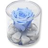 Premium-rose.com Box tondo con Rosa Azzurra Stabilizzata e Marmo di Carrara, Idea Regalo Unica e Raffinata, Idea regalo per lei, Natale, Cubo Rosa fucsia, Fatta in Italia (azzurra 1093)