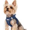 rabbitgoo Pettorina Cane Taglia Piccola Blu Scuro XS, Imbracatura per Cani Regolabile in Rete Morbida Traspirante, Fcile da Indossare, Pettorina per Cani Piccoli Riflettente per Passeggiate Corsa