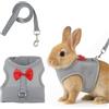 LLOUSSAK Guinzaglio coniglio,Pettorina per coniglio con un fiocco,Guinzaglio per conigli,Accessori per conigli nani,Gatti,Cani di piccola taglia e altri piccoli animali
