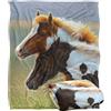LOGOVISION Jq Licensing - Cf Two Foals Horses Coperta super morbida al tatto setoso - 152 x 127 cm