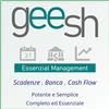 Generico Geesh - Essenzial Management