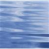 M53 CD - Geology & Geophysics of Continental Margins. AAPG Memoir 53. Proceedings of the M.T. Halbou