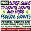 2009 Super Guide to Grants, Grants, and More Federal Grants - Government Assistance for People and Small Business: Grants, Loans, Student Aid, Applications, New Programs, FOIA, College Money (CD-ROM)