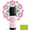 Amon&Anis Geranio - olio essenziale - bio - 10ml