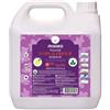 MISOKO&CO. MISOKO SPRAY RIMUOVI ODORI E MACCHIE-AROMA LIMONE 2 LT