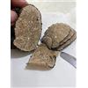 Cucina TARTUFO NERO ESTIVO CAT.I 500G FRESCO MATURO ITALIANO SCORZONE CUCINA RISTORANTE