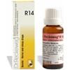 I.M.O.IST.MED.OMEOPATICA SpA RECKEWEG R14 GOCCE 50 ML