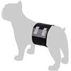 Flamingo Pannolini DIPY per Cani Maschi M 46-60CM 12PZ