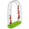 BAKAJI Arco da Giardino per Rose Piante Rampicanti Decorazione in Metallo Altezza 233cm