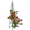 BAKAJI Supporto per Piante Rampicanti Obelisco Arco da Decorazione Giardino Torre H 2Mt