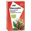 Salus Haus Biancospino Tisana Bio 15 Filtri