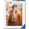 Ravensburger Puzzle 500 Pezzi Gattino e Cavallo - Puzzle Adulti +14 anni, 49 x 36 cm, Puzzle per Adulti Animali, Collezione Puppies, Idee Regalo