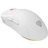 GENESIS Zircon XIII mouse Gaming Ambidestro RF Wireless + USB Type-C Ottico 2600