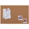 Bi-Office Earth New Basic Bacheca, 90x60cm, Superficie in Sughero, Cornice in Pino