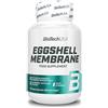 BioTechUSA Eggshell Membrane | membrana del guscio d'uovo | Con membrana naturale del guscio d'uovo | in megacapsule | pratiche | 60 mega capsule
