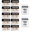 Gigastone [10 x Alta Resistenza] GIGASTONE MLC Micro SD 32 GB, Set da 10, 10x High Endurance, per Telecamera Sorveglianza, Gopro, Dashcam, Lettura fino a 95 MB/s. Per video 4K, U3 V30 C10 + Adattatore SD