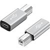 QIANRENON USB C a B Convertitore di StampaType C a MIDI Adattatore di Interfaccia Digitale,Collegare la Tastiera al Telefono ellulare Tramite OTG,per Stampante, Piano Elettrico,Argento,2 Pezzi