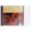 MayRecords Custodie adesive esterne per CD e DVD, antistatiche, per riporre CD e DVD (100)