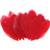 M METERXITY 100-Pack Piume D'Oca, 1.6-3 Pollici / 4-8cm Molti Piume D'Oca Naturali per Creazioni/Matrimoni/Acchiappasogni/Decorazioni Fai da Te [Rosso]