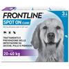 Frontline Spot On Cani x3 Pipette Antiparassitario Per Cani (20-40 Kg) Contro Pulci Zecche e Pidocchi