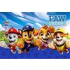 Aymax Tappeto decorativo per camera da letto Paw Patrol Pat Patrol 40 x 60 cm