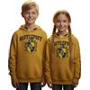 GWCC Licensed Unisex Kids Harry Potter Hufflepuff Hoodie Sizes 1 Year to 13 Years Yellow