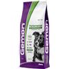 MONGE & C. SpA GEMON DOG PERFORMANCE 20KG