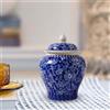 Vaso di zenzero in ceramica Vaso regalo multiuso cineserie per la