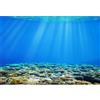 SDOTPMT 5x3ft Backdrop in poliestere mondo subacqueo Sotto il mare Luce sole sottomarina Deep Blue Acqua Piante acquatiche Fondo del corallo Marine Birthday Party Decor Photo Studio Props