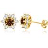 PAKORIO Orecchini a lobo PAKORIO 1 carato moissanite colorata per donne | Orecchini ipoallergenici placcati oro 14K in argento sterling | con confezione regalo(B-Marrone)