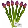 MIJOMA Lot di 6 tulipani artificiali al tocco reale - Decorazione da tavolo - Lunghezza 27 cm - Viola