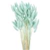 QUARKZMAN 120pz Coda di Coniglio Naturale Fiori Secchi 43cm Mini Erba di Pampa per Decorazioni Floreali Matrimonio Natale, Blu Cielo