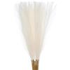 sourcing map Erba finta della pampa, 18 pezzi, 55 cm, soffice erba della pampa artificiale, decorazione alta, per soggiorno, feste, vaso da parete, decorazione per matrimoni, colore: crema