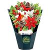 CUT POPUP.COM CUTPOPUP Bouquet di stelle di Natale 3D Biglietti Natale 2025, Biglietti Auguri Natale, Biglietti Auguri Natalizi, Biglietto Natale, Christmas Cards, Xmas Cards (Poisettia Bouquet MD) US8-77.MDIT