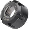 Segrehy ER25UM Bilanciamento dinamico Nutlo Nut Metal COLLET NADO Porta Torna Strumento Stronging Splending Force resistente resistente alla maniglia utensile del mandrino ER25 e all'asta (Segrehy6fyzbkv-01)