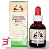 ERBENOBILI SRL FITOBLASTO CRATAEGUS OXYACANTHA 50 ML