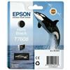 Epson CART.INCH. BLACK MATTE ORCA