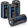 CITYORK 4 batterie ricaricabili C da 5000 mAh, NiMH ad alta capacità e scatola di immagazzinaggio, per torce a LED, giocattoli per bambini e altro ancora