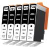 Yowell 5X 364XL Nero Cartucce d'inchiostro Compatibili con HP 364 XL Nero per HP Photosmart 5520 5510 6510 6520 7510 7520 Deskjet 3520 3070A 3522 Officejet 4610 4620 4622 (5 Black)