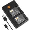 DSTE 2PCS NP-BG1 NP-FG1 (1750mAh/3.7V) Batteria Caricatore Compatibile per Sony DSC-T20 DSC-T100 DSC-W35 DSC-W50 DSC-W55 DSC-W80 DSC-W90 DSC-W100 DSC-W120