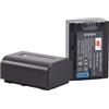 DSTE 2PCS NP-FV50 Batteria Compatibile con Sony HDR-CX220, HDR-CX430V, HDR-CX900, HDR-CX260V, HDR-CX580V, HDR-CX760V, HDR-PJ200, HDR-PJ230