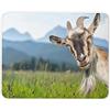 Destination Vinyl Ltd Divertente capra Tappetino mouse pad - Pecore Capre animali cute divertimento regalo PC Computer # 8515