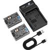 DSTE 2PCS NP-FP50 Batteria e Caricatore compatibile con DCR-30, DCR-DVD105, DCR-DVD202E, DCR-DVD203E, DCR-DVD205E, DCR-DVD304E, DCR-DVD305